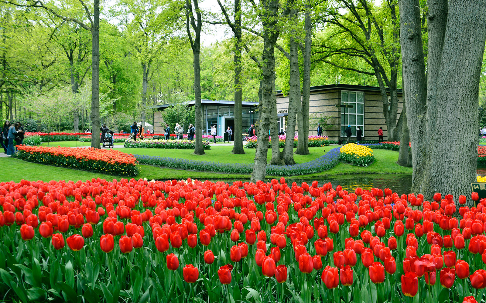 Keukenhof