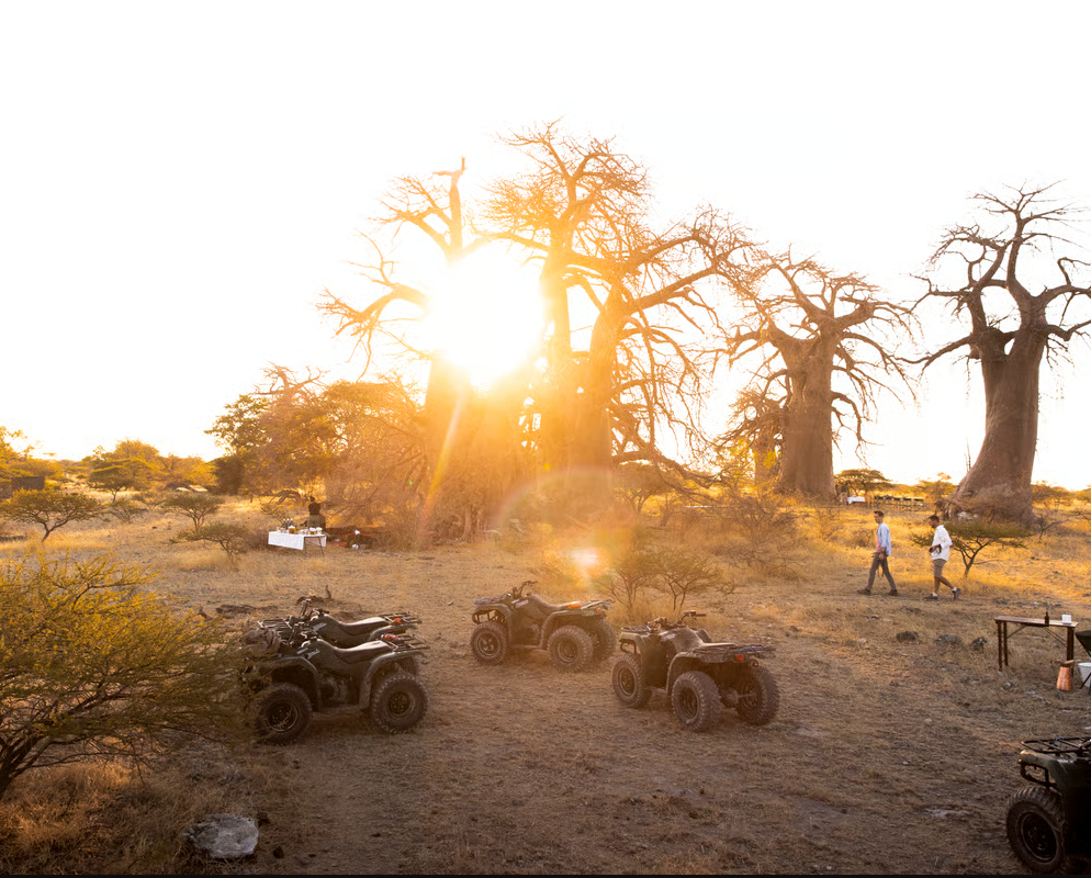 Ne vedem în această clipă