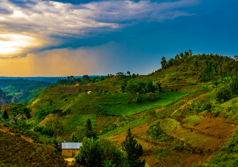 Rwanda